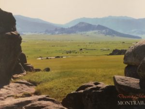 Open steppe grassland of Mongolia